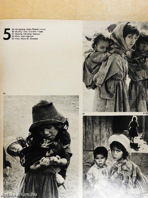 Die Kinder Dieser Welt 4.