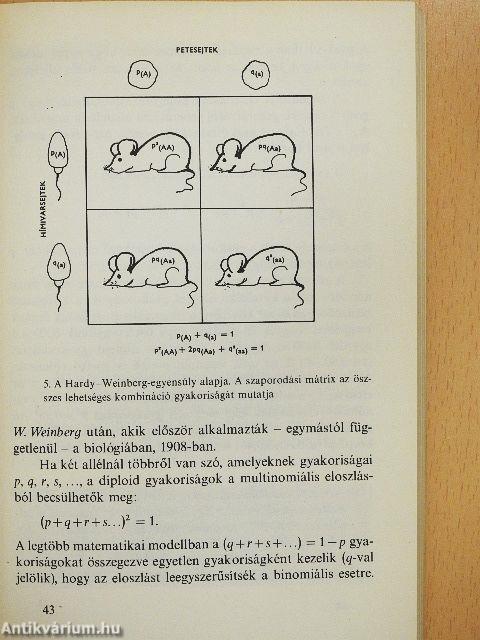 Bevezetés a populációbiológiába