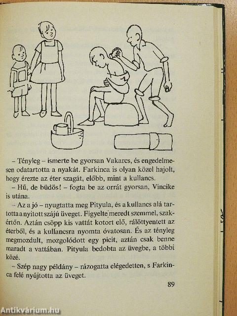 Vakarcs vakációja