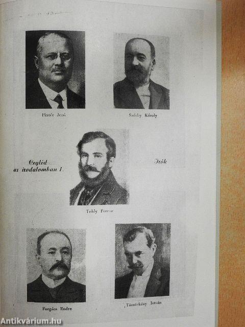 Cegléd az irodalomban