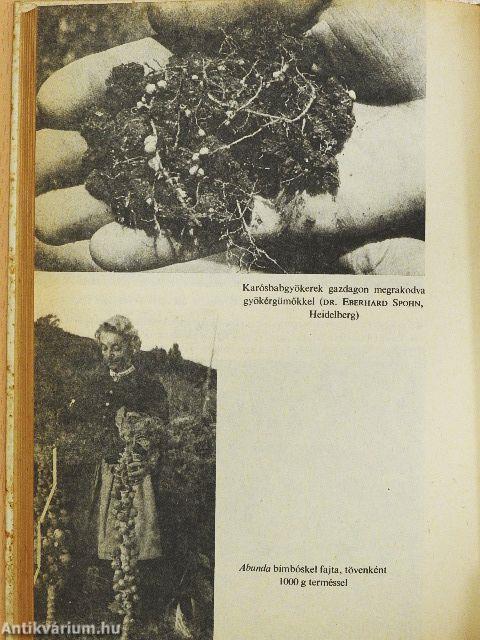 Kertészkedés "mérgek" nélkül