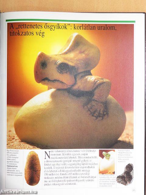 Új képes történelem 1-20.