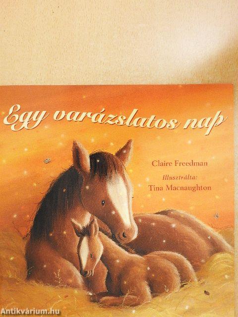 Egy varázslatos nap