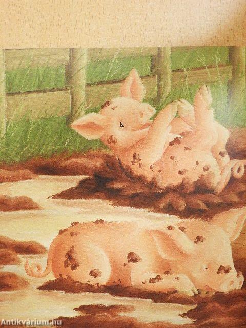 Egy varázslatos nap