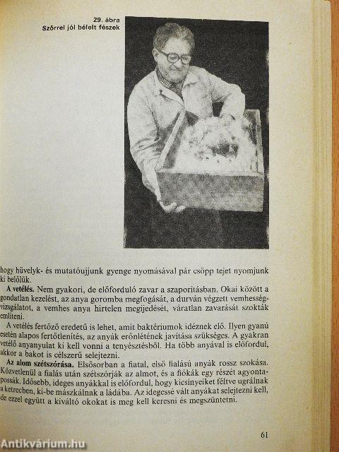 Nyúlhústermelés a kisgazdaságban