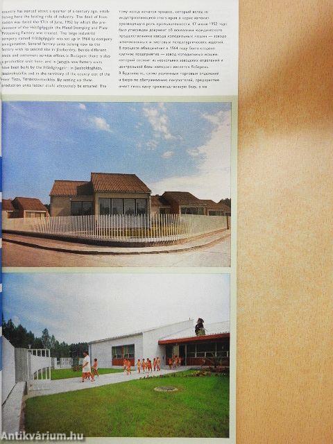 Lehel hűtőgépgyár 