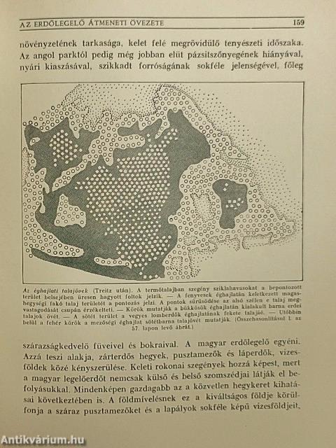 Magyar föld, magyar faj II.