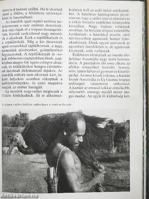 Az őserdők világa