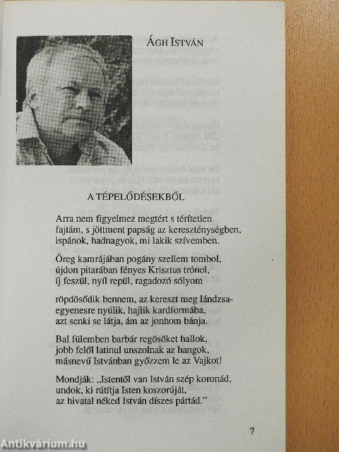 Szép versek 1993