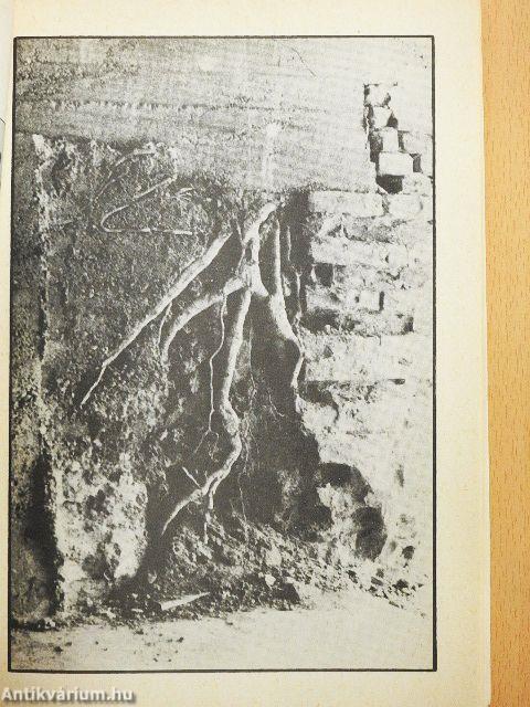 Mozgó Világ 1989. március