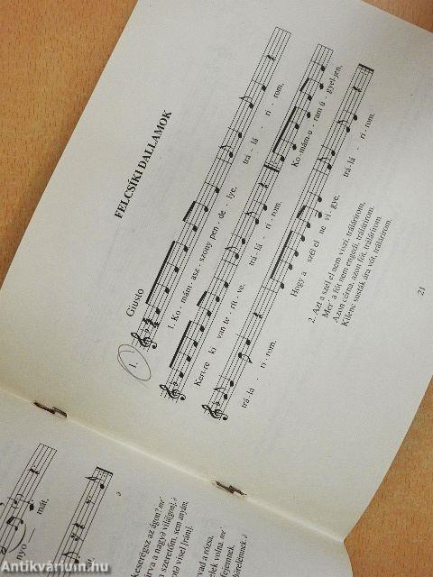 V. Gyimesi tánctábor