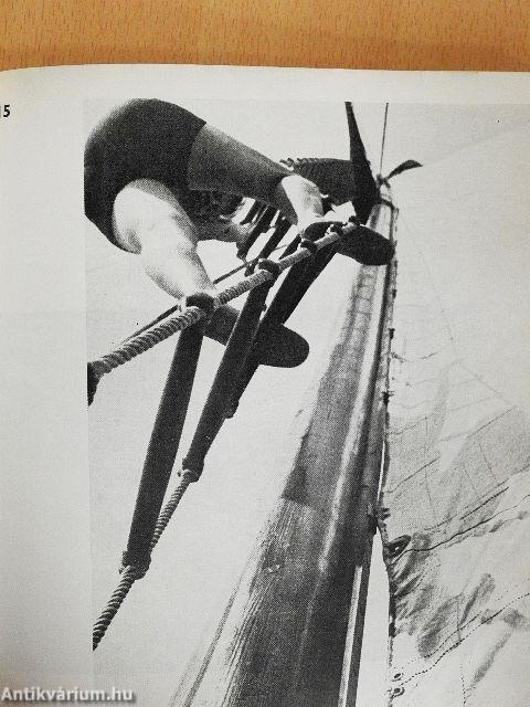 Moholy-Nagy László munkássága