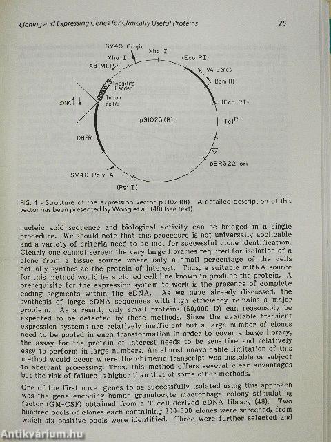 Biotechnology: Potentials and Limitations