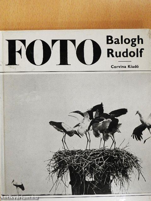 Balogh Rudolf munkássága