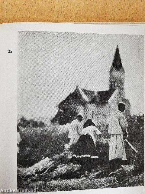 Balogh Rudolf munkássága