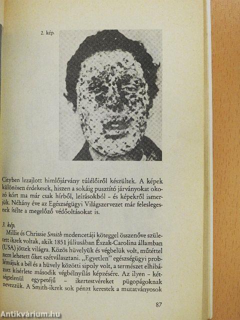 Ádám valódi Éva nélkül