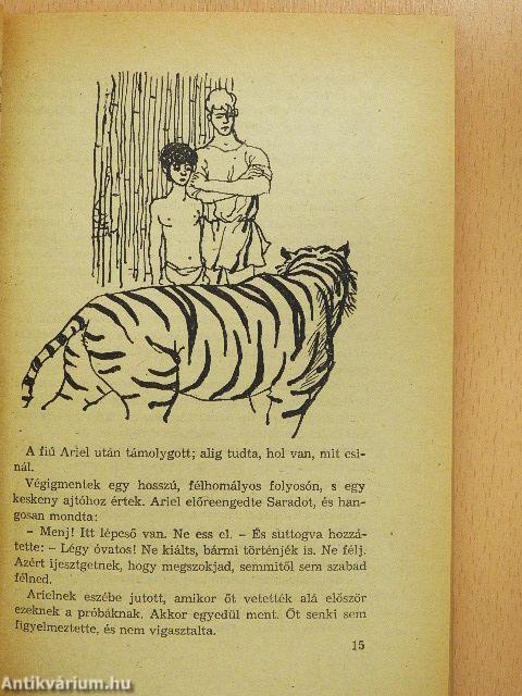 A repülő ember