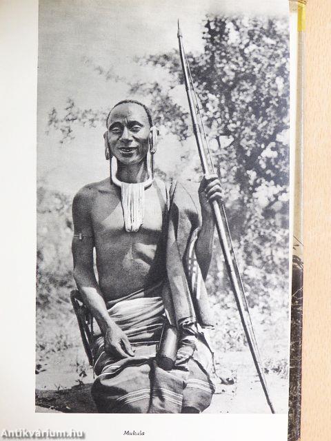 Afrikai tábortüzek