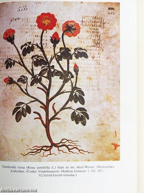 Antik természettudomány