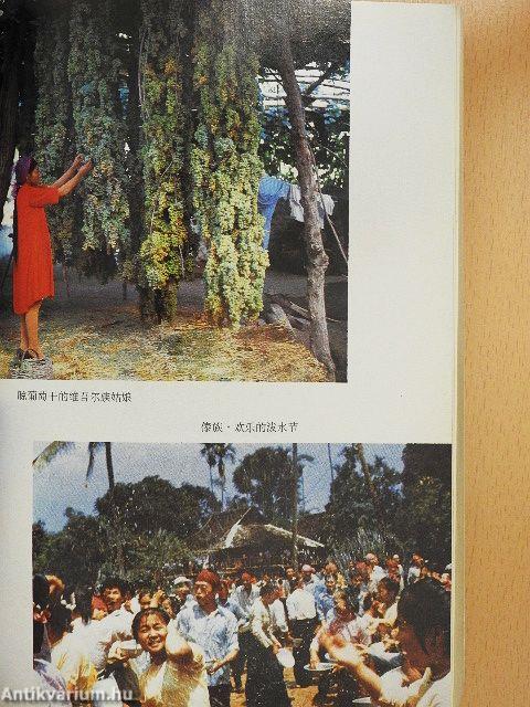 Speaking Chinese About China II.