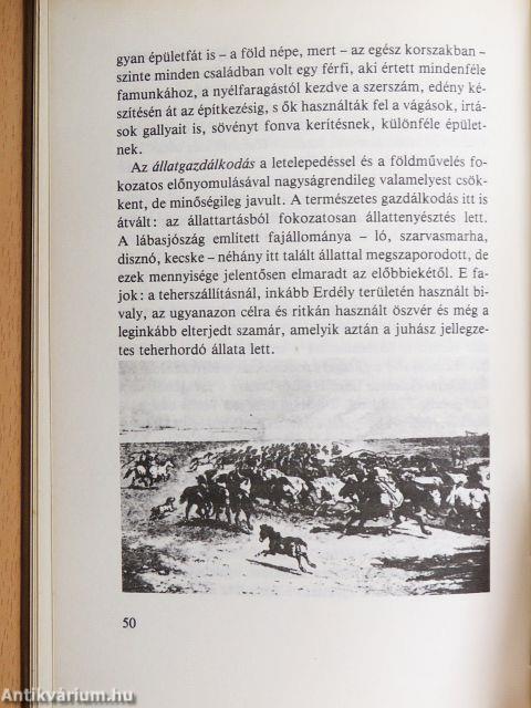 Mestere volt egykor...