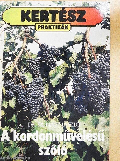 A kordonművelésű szőlő