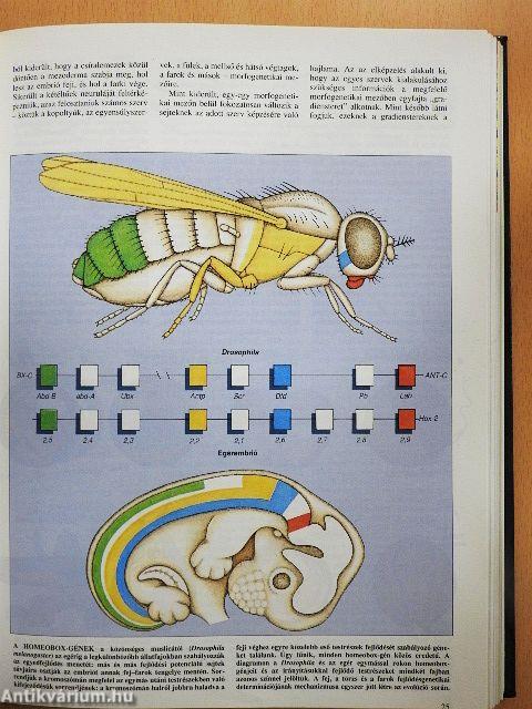 Tudomány 1990. (nem teljes évfolyam)