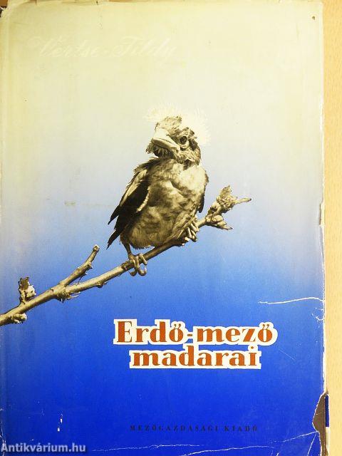 Erdő-mező madarai