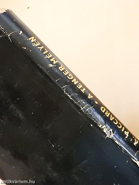 A tenger mélyén