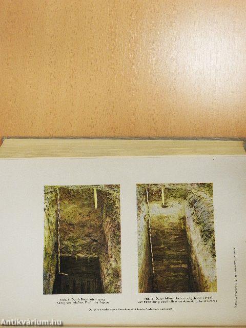 Albrecht-Thaer-archiv