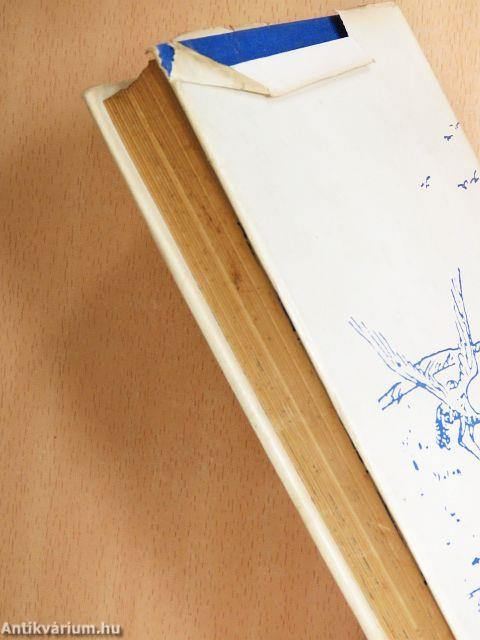 Régi magyar vízivilág