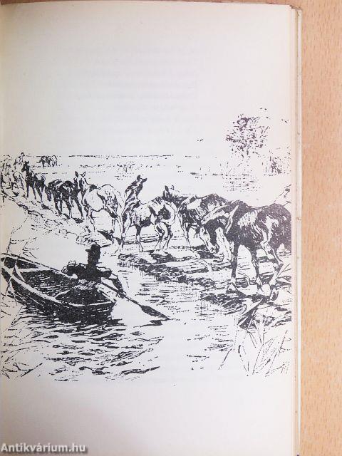 Régi magyar vízivilág