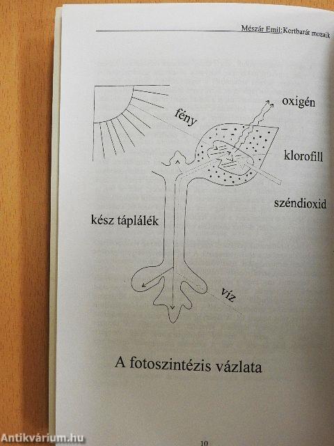 Kertbarát mozaik