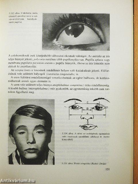 A fejlődéstan alapjai