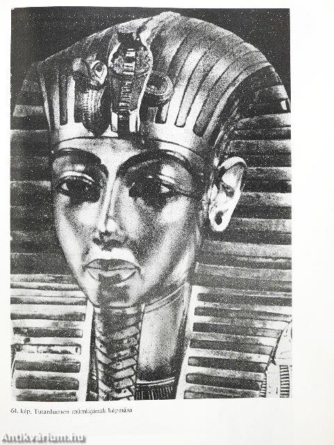 Az emberi öröklődés