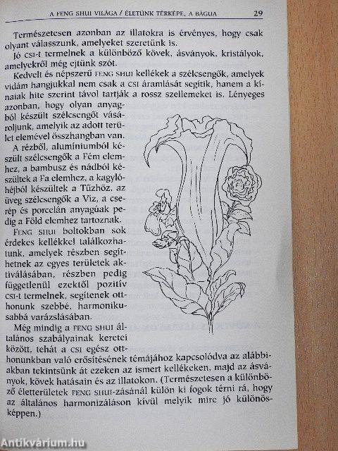 Feng shui asztrológus szemmel