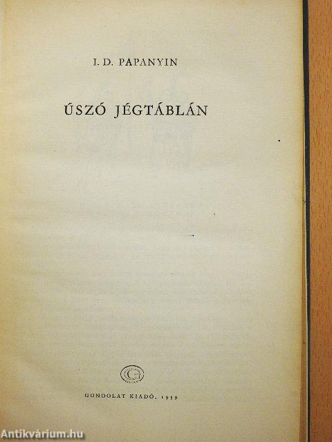 Úszó jégtáblán