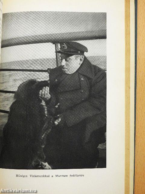 Úszó jégtáblán