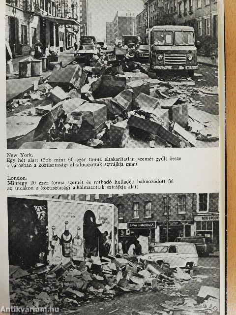 Az öngyilkos civilizáció