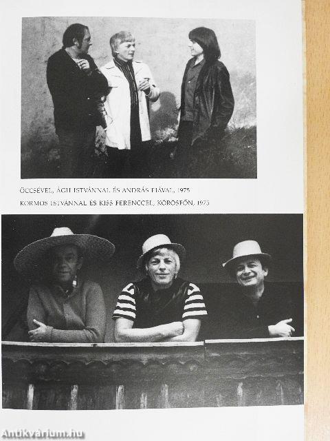 Adok nektek aranyvesszőt