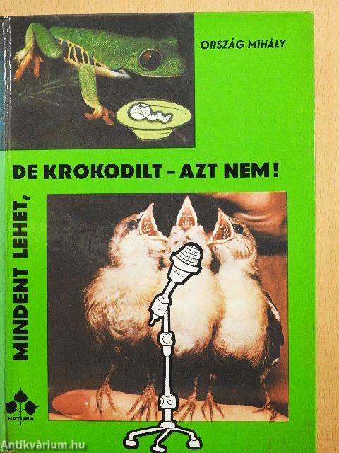 Mindent lehet, de krokodilt - azt nem!
