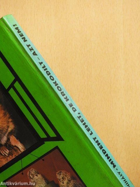 Mindent lehet, de krokodilt - azt nem!