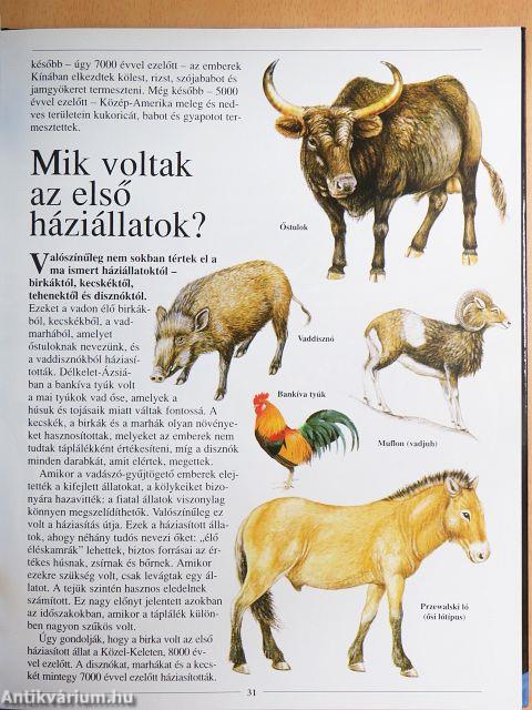 A világ legcsodálatosabb titkai