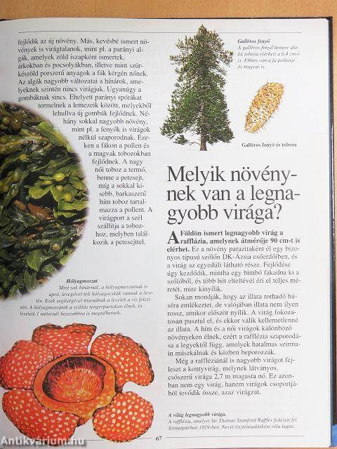 A világ legcsodálatosabb titkai