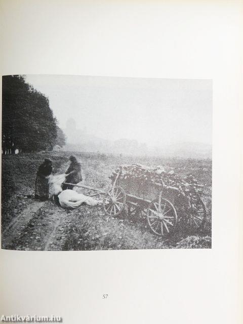 André Kertész Magyarországon