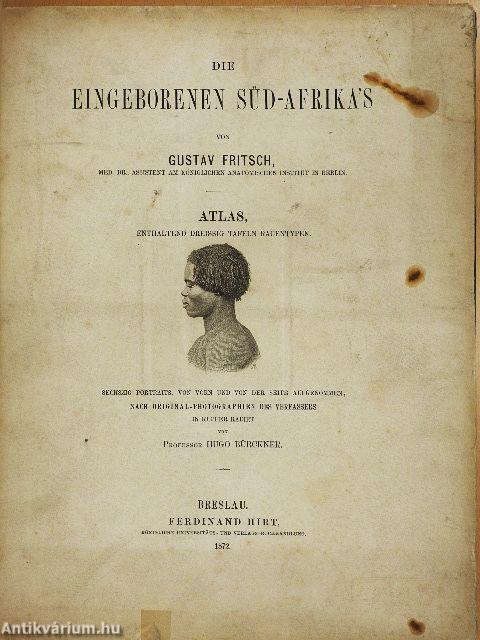 Die Eingeborenen Süd-Afrika's