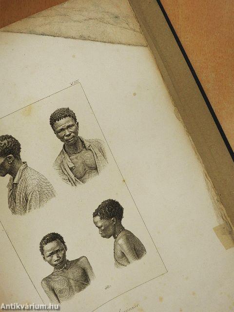 Die Eingeborenen Süd-Afrika's