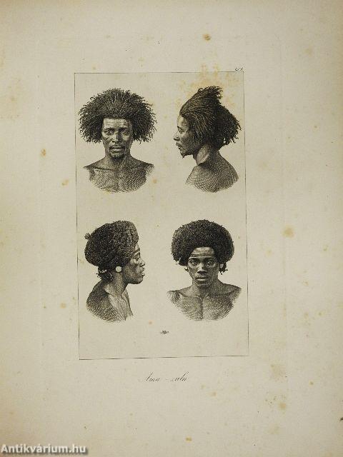 Die Eingeborenen Süd-Afrika's