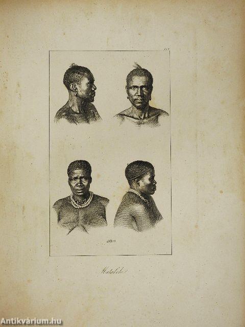 Die Eingeborenen Süd-Afrika's