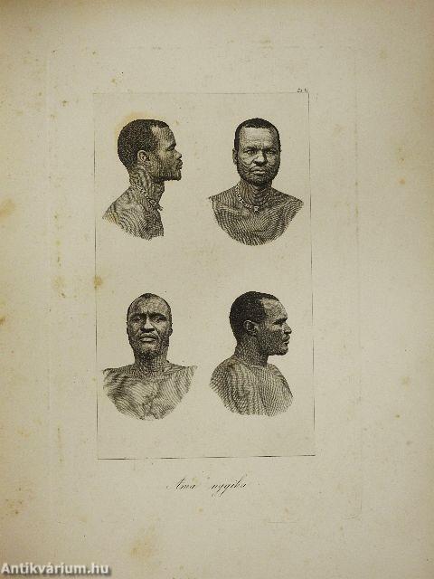 Die Eingeborenen Süd-Afrika's